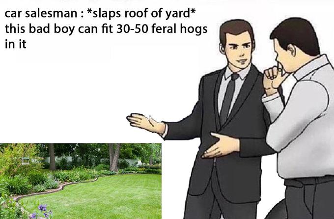 feral_hogs_car_salesman.jpg