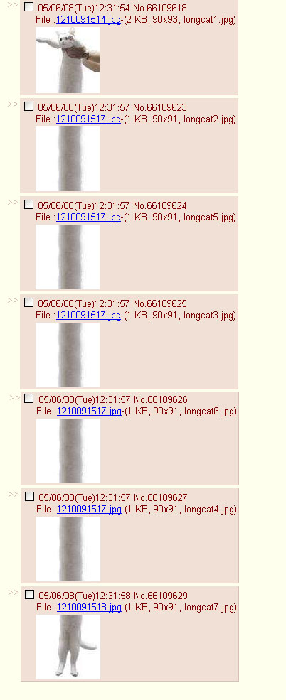 longcat_4chan.jpg