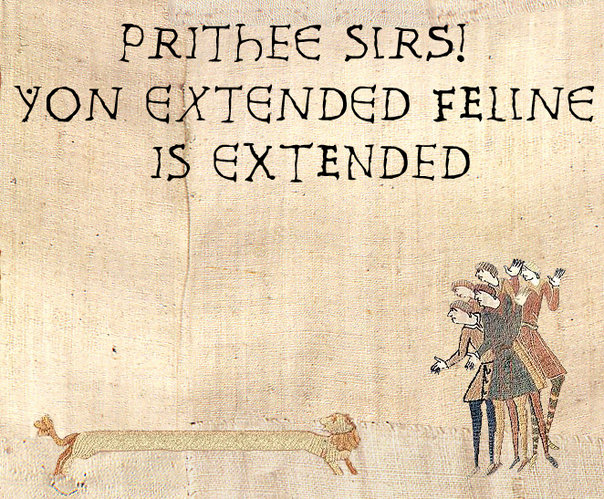 longcat_bayeux.png