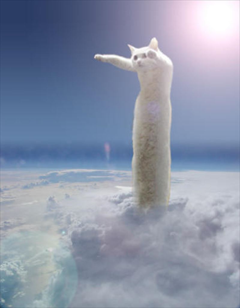 longcat_clouds.jpg