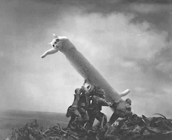 longcat_iwo_jima.jpg