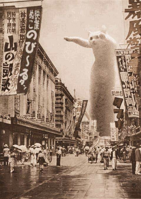 longcat_streets.jpg