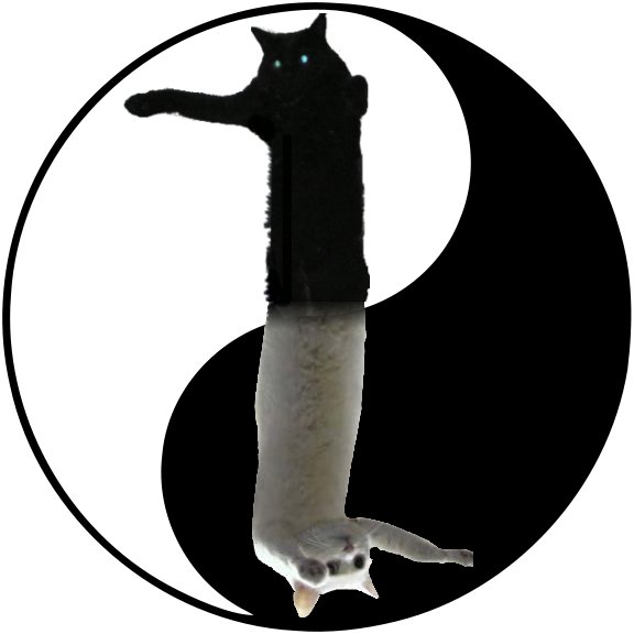 longcat_tacgnol_yinyang.jpg