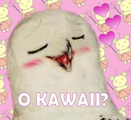 orly_kawaii.jpeg